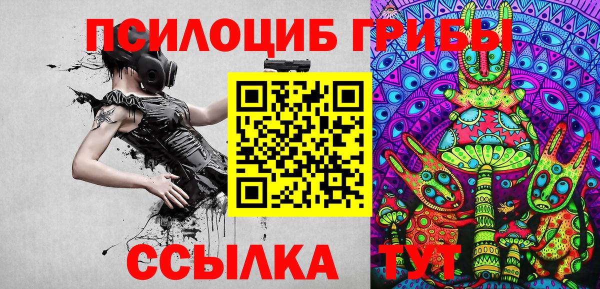 Донецк  Галлюциногенные грибы Psilocybe  Вход с VPN 