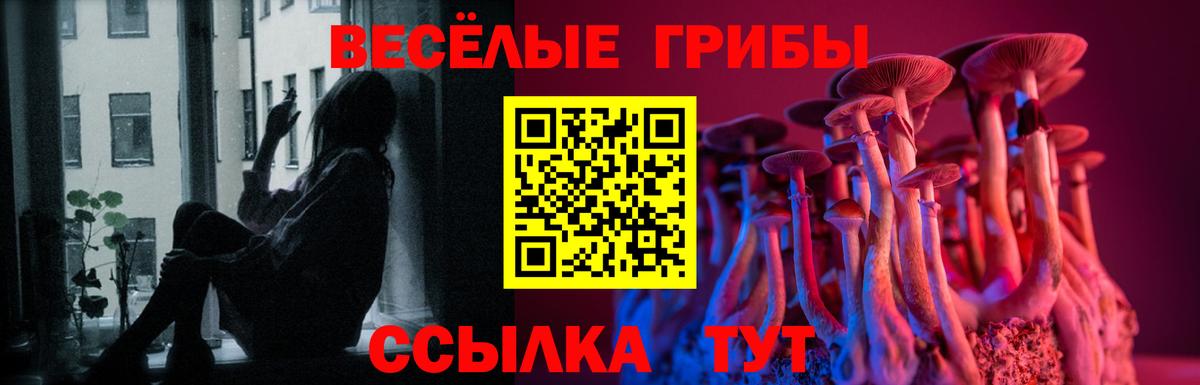 Галлюциногенные грибы Psilocybe Донецк